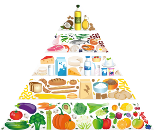 Food pyramid