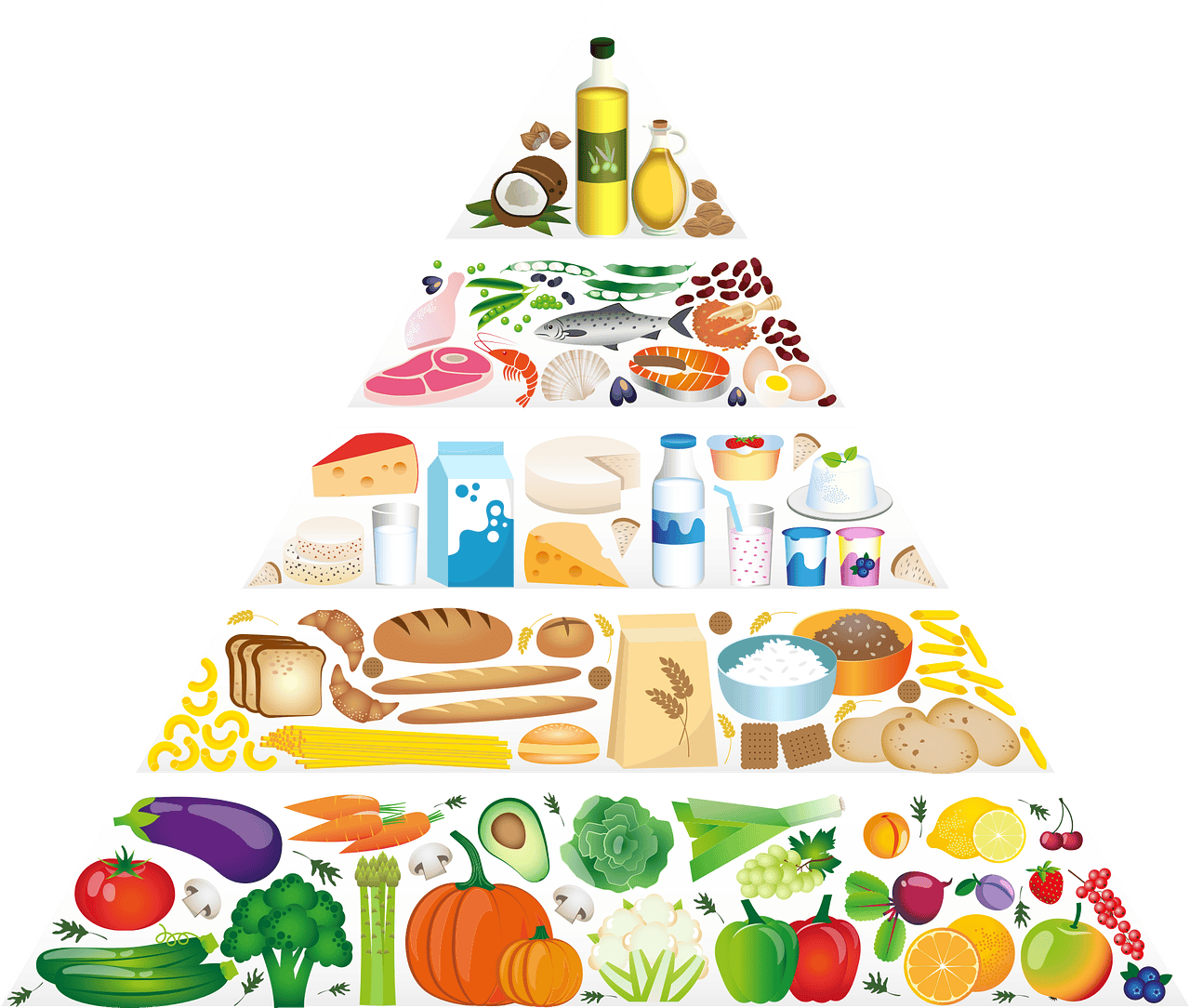 Food pyramid
